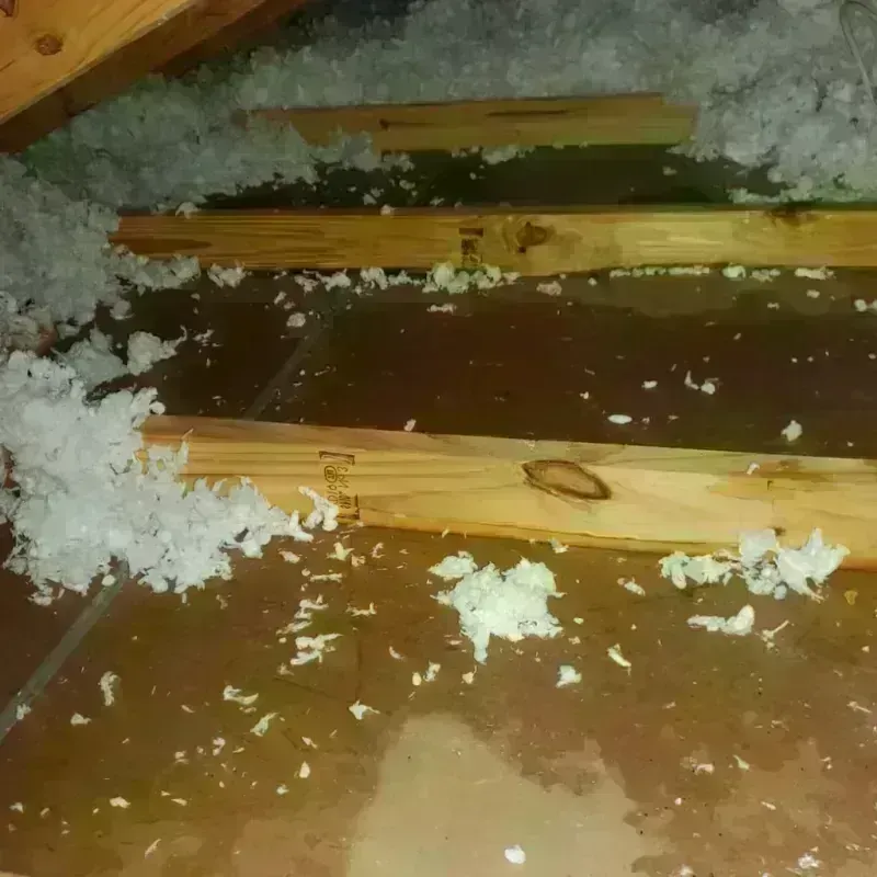 Attic Water Damage in Marked Tree, AR