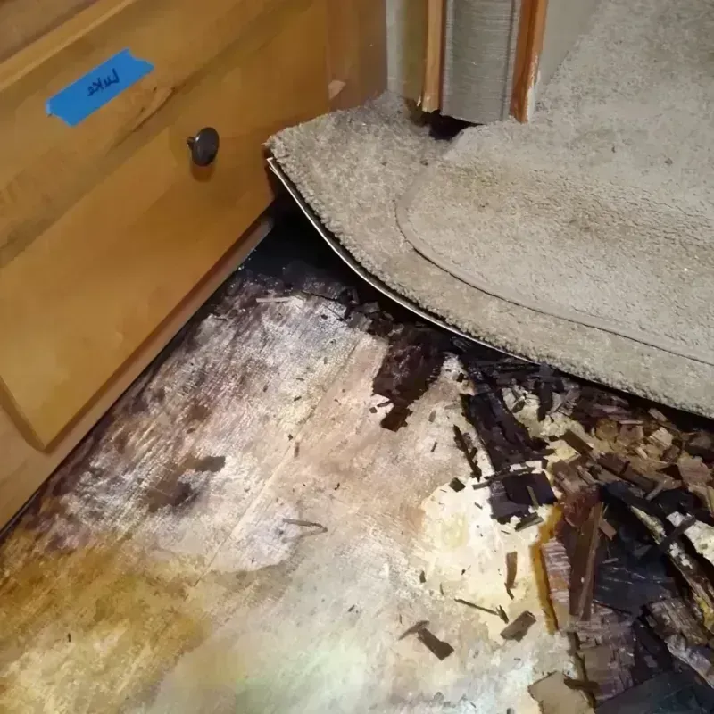 Best Wood Floor Water Damage Service in Marked Tree, AR